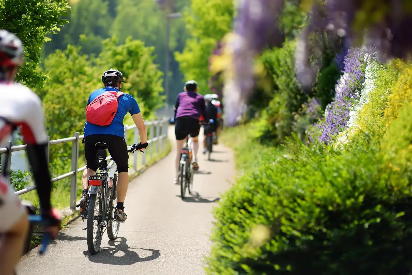Gruppe sportlicher Urlauber beim Radfahren in einem sonnigen Park an einem heißen Sommertag