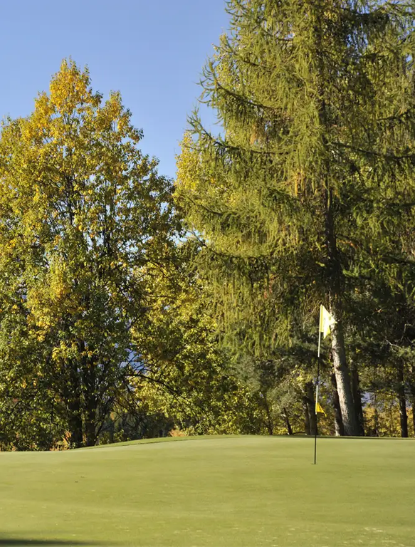 petersberg-golffahne-ausschnitt.webp Green Petersberg im Herbst