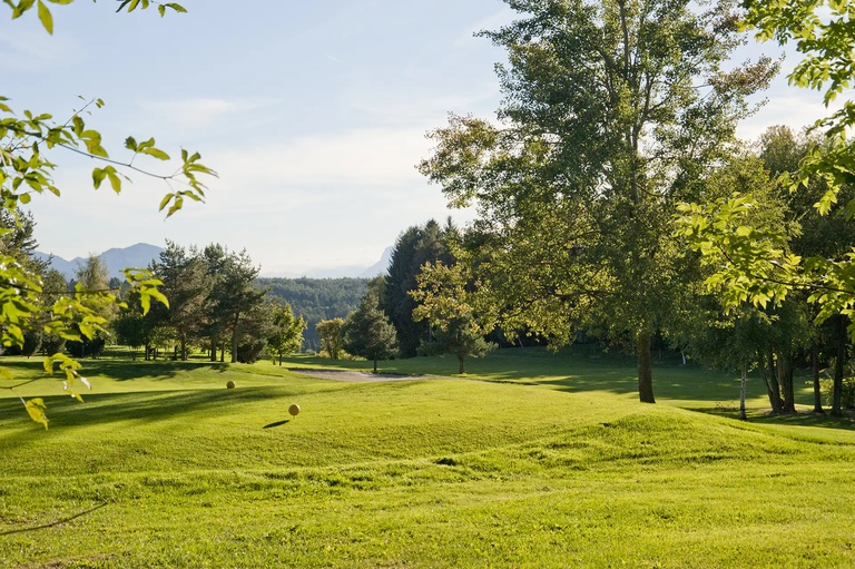 tee.webp Impressionen vom Golfplatz Petersberg