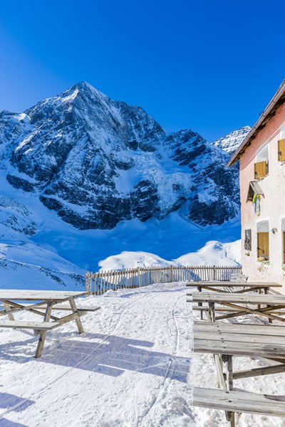 Blick auf den Ortler